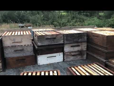 How i deal with wet supers