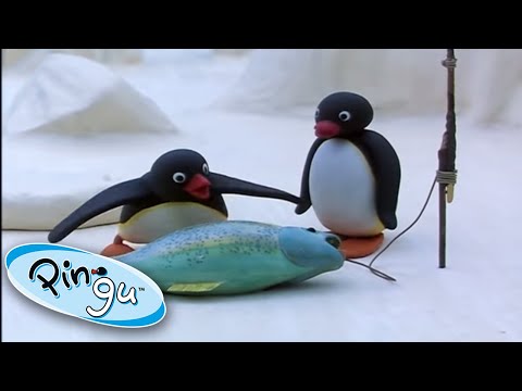 Pingu Goes Fishing With His Family! 🐟 @Pingu  1 Hour | Cartoons for Kids