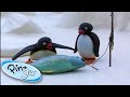 Pingu Goes Fishing With His Family Pingu 1 Hour Cartoons For Kids