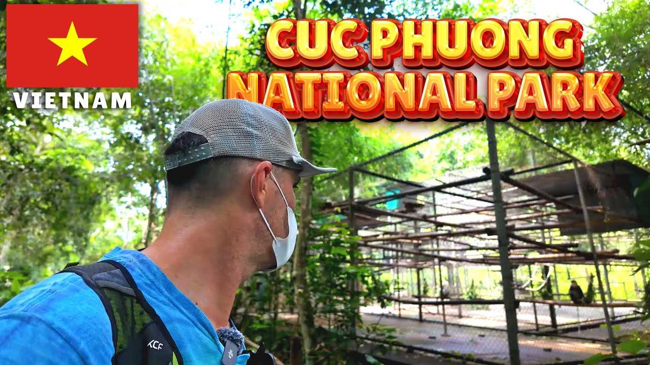 Witness the captivating allure of Cuc Phuong, home to scenic trails and fascinating ecosystems.