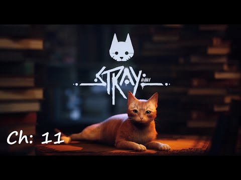 Stray Walkthrough Chapter 11 - Jail (All Memories)