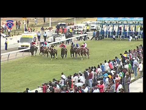 RM32 R2 | The Jazz Singer | M.Nunes