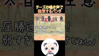 ※音量注意 チーズの鳴き声で無双するパンダ#ワンワンバトル #新人vtuber #shorts
