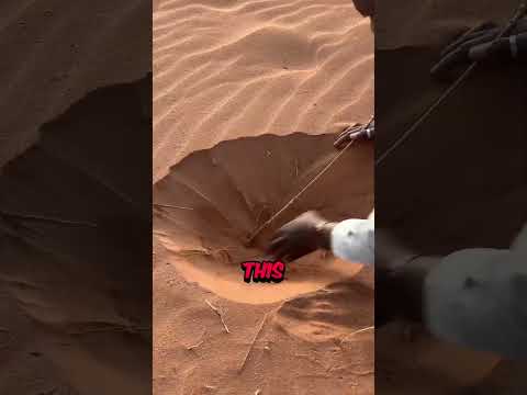 Never do this in the desert