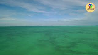 Download lagu Sabari USG ft Kahang ( Lasah Makaa ) #lagubajau #lagubajauterbaru mp3 Download lagu Sabari USG ft Kahang ( Lasah Makaa ) #lagubajau #lagubajauterbaru mp3