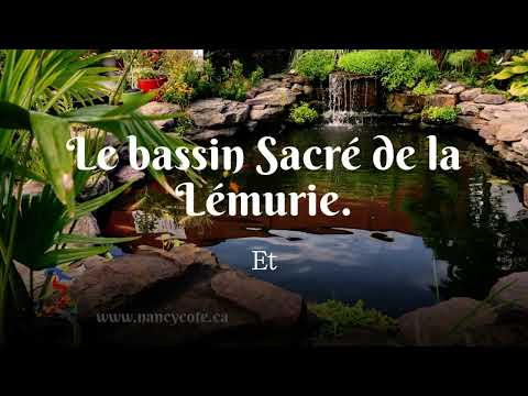 Vidéo de Nancy Côté
