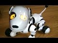 Toys - Зуммер. Веселая интерактивная собака робот далматинец. Игрушки, видео для ...