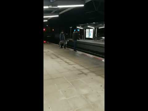 Agresión en la línea 3 de Metro Bilbao