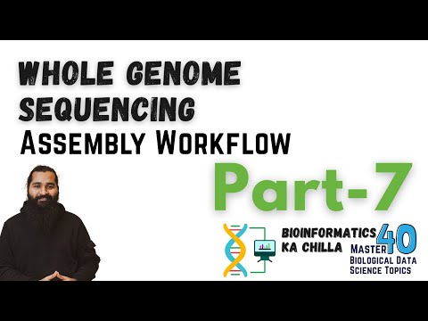 Whole Genome Sequencing Assembly Workflow Part 1 From Zero to Hero
