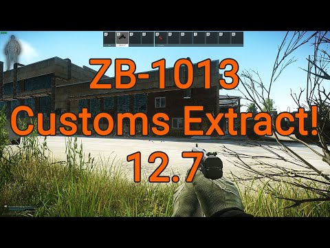 New ZB-1013 Customs Extract 12.7 (Timestamps)