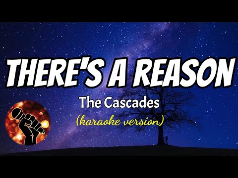 THERE'S A REASON - THE CASCADES (karaoke version)