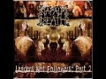 Napalm Death - Devastation (HD)