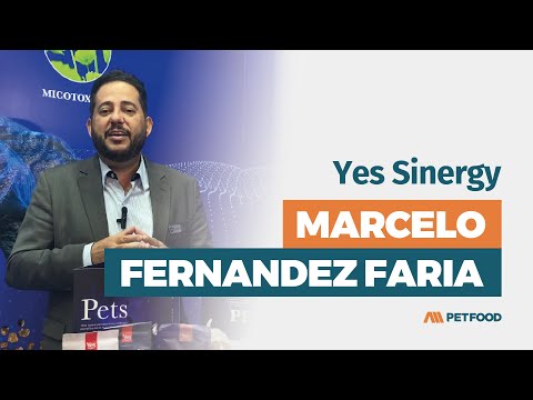 Yes Sinergy - Marcelo Fernandez Faria