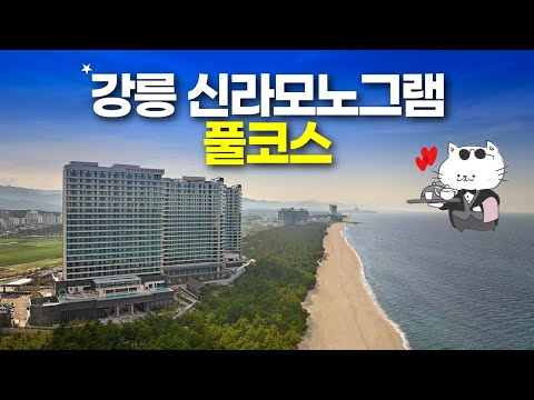 신라 모노그램 강릉 호텔 리뷰: 최고의 꿀팁과 솔직한 평가