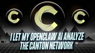 I Let My OpenClaw AI Analyze the Canton Network (The Banks' Secret Chain)