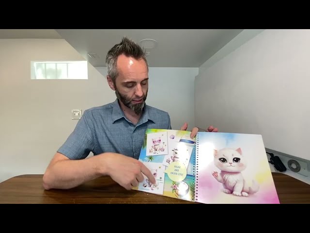 Best Sticker Activity Book for Dressing Up Kittens - product in use