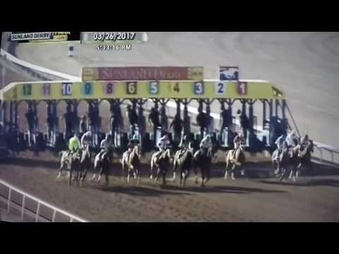 SUNLAND DERBY 2017- HENCE