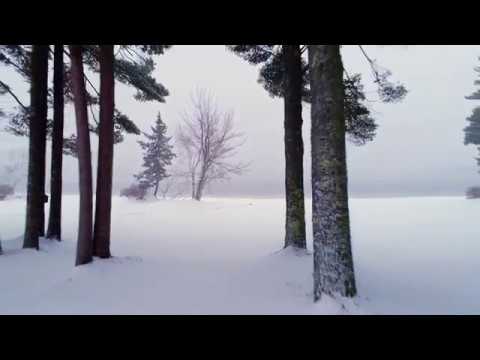 Video Em Ở Đâu - Nhạc sĩ Hoàng Song Nhy