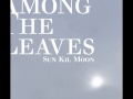Sun Kil Moon-Sunshine In Chicago 