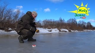 Ссылка