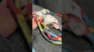 Who makes these rules? One person???