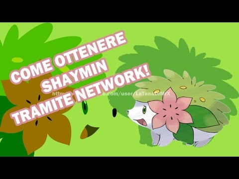 COME OTTENERE SHAYMIN TRAMITE NETWORK!