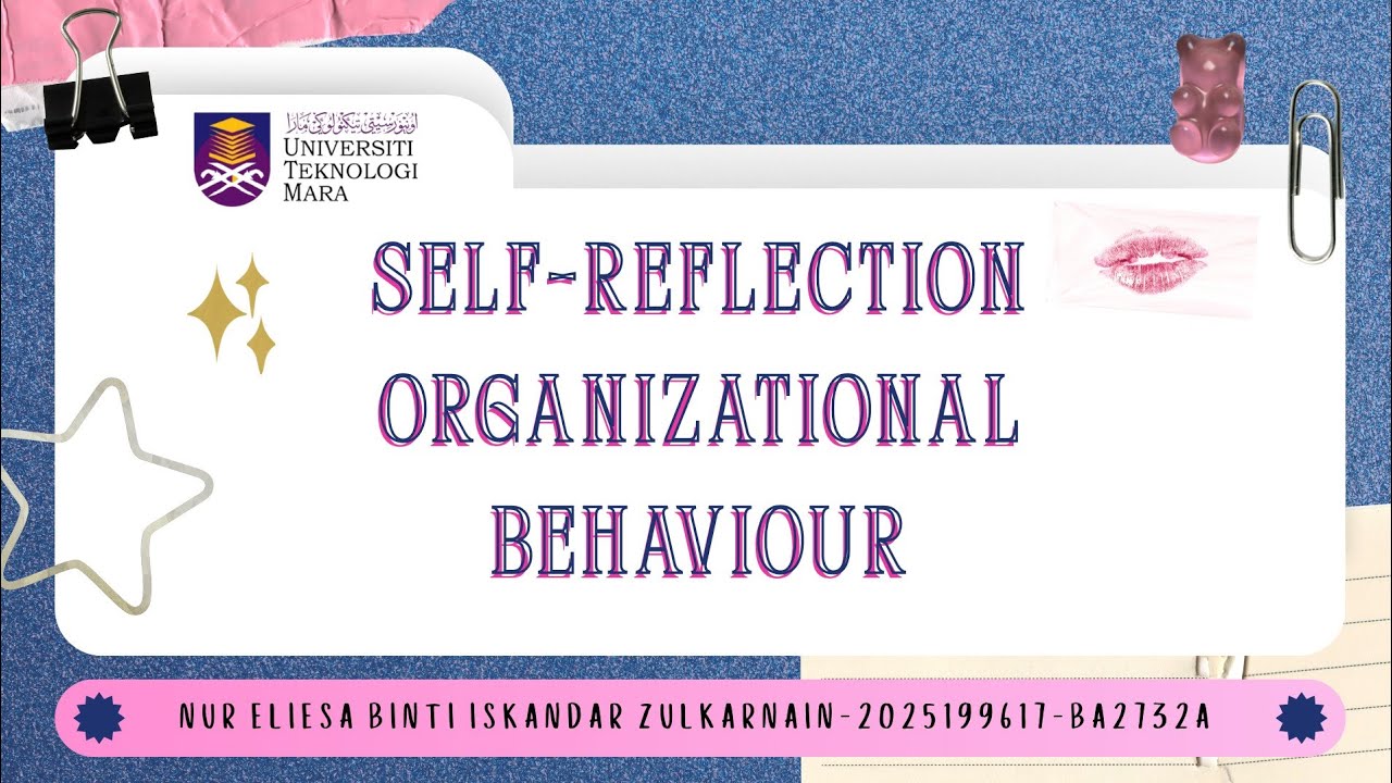 MGT548: INDIVIDUAL REFLECTIVE ASSIGNMENT