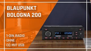 Blaupunkt Bologna 200 - alles Wichtige an Bord für dein Auto