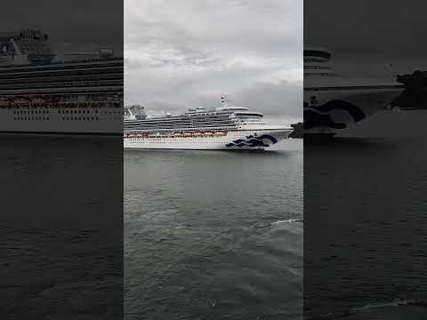 Thumbnail for The Crown Princess and Diamond princess are sailing from the Sydney Cruise Terminal together.