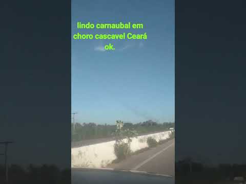 belo carnaubal em choro cascavel Ceará Brasil, galera se escreva no canal ok.
