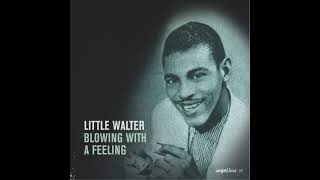 Memphis Minnie &amp; Little Walter  &quot; Me and My Chauffeur  &quot; (1952)