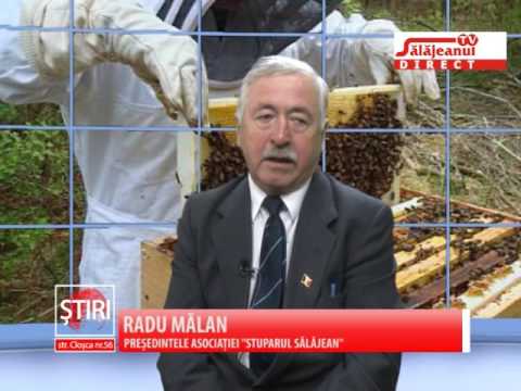 APICULTURA ROMANEASCA, INTRE EXISTENTA SI COLAPS