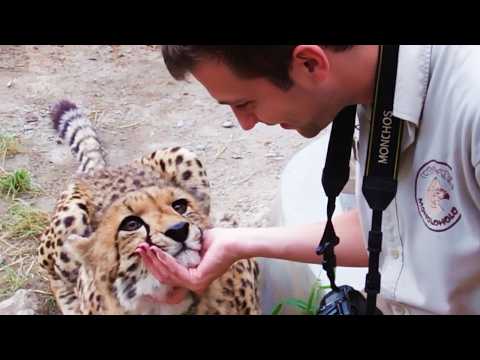 Quand les animaux surprennent les photographes de la façon la plus mignonne🤪