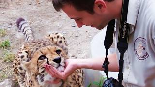 Quand les animaux surprennent les photographes de la façon la plus mignonne🤪