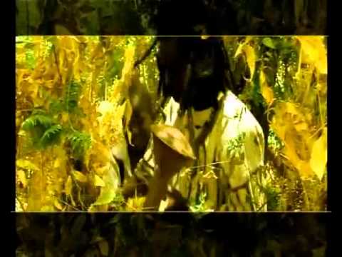 Oscibi Johann - Saaga