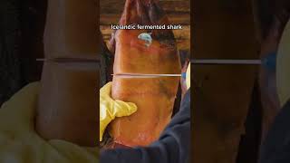 Download lagu How toxic shark is fermented for eating #shorts mp3