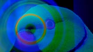 Keys & Reeds & Strings & Sticks: Magic Eye