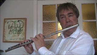 flute and guitar improvisation (Christiaan de Jong)