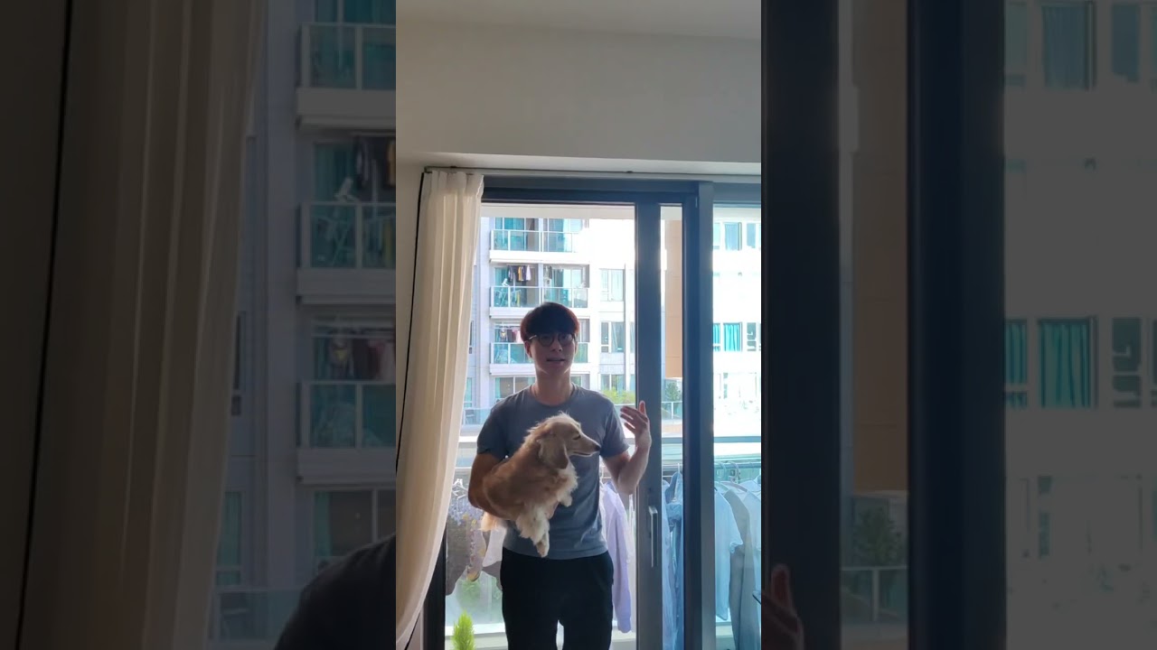 將軍澳區客戶評價