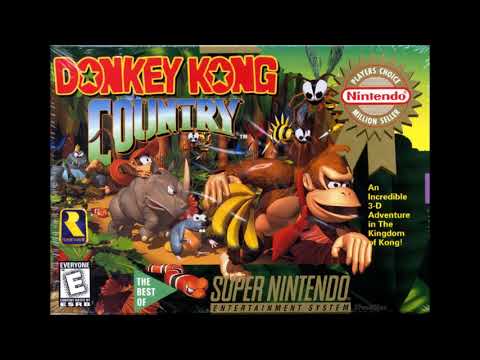 Best VGM 924 - Donkey Kong Country - Ice Cave Chant