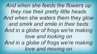 Robyn Hitchcock - Globe Of Frogs {acoustic} Lyrics