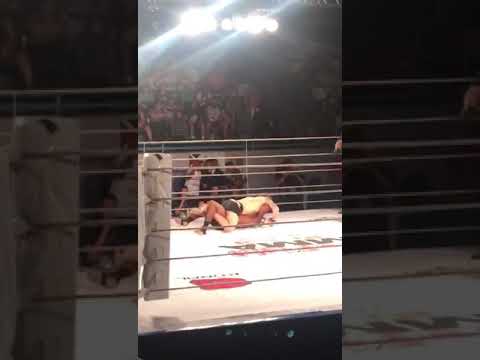 Allyson Pinheiro vs Rafael José Pró-Fight MMA