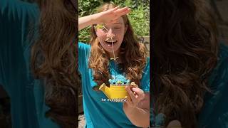 Download lagu Should we set Plant Pierre free? Or grow him a friend? mp3 Download lagu Should we set Plant Pierre free? Or grow him a friend? mp3