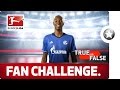 True or False - Naldo