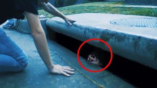 जमीन के नीचे से निकली 5 डरावनी चीजें Strangest discoveries found on earth