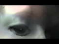F.Y.T. @ This Mortal Coil