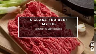 Top 5 Grass Fed Beef Myths Busted by Chef Yankel