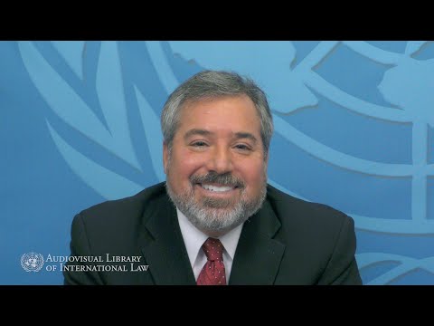 Michael Scharf on Accelerated Formation of Customary International Law