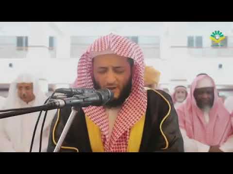 Hani Ar Rifai / Al Insan