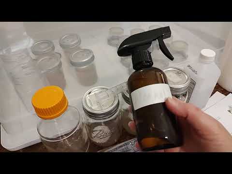 How to Grow Mushrooms Start to Finish Spores Agar Mycelium Beginner's Guide to Growing Mushroom